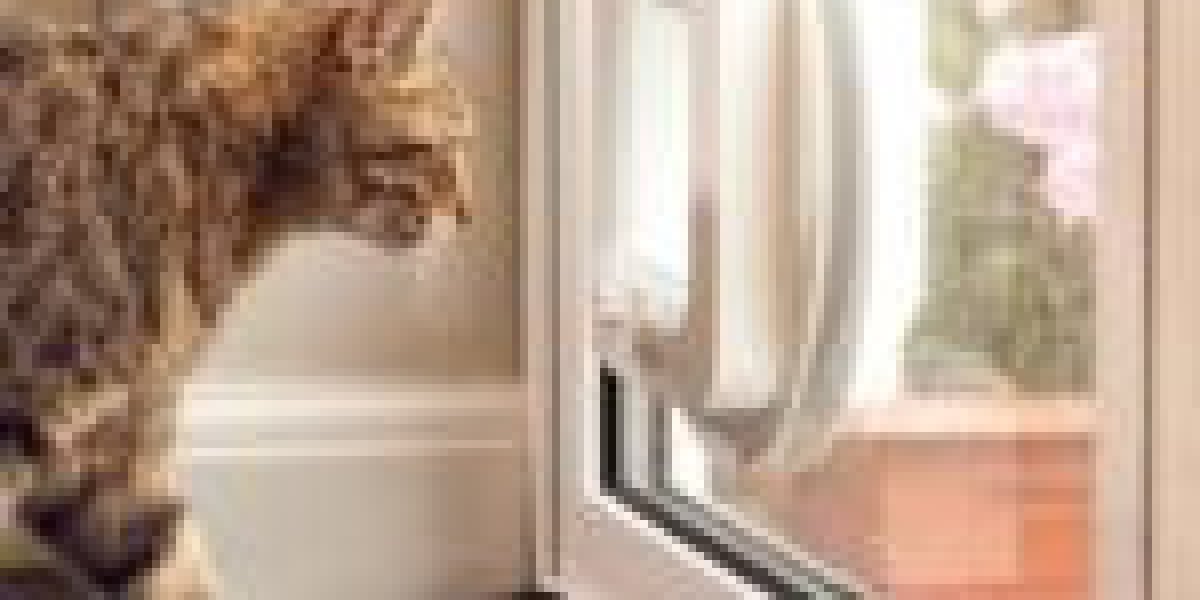 9 Lessons Your Parents Teach You About Custom Cat Flap Installation